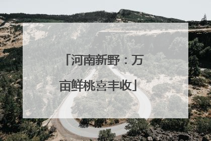 河南新野：万亩鲜桃喜丰收