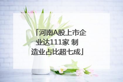 河南A股上市企业达111家 制造业占比超七成