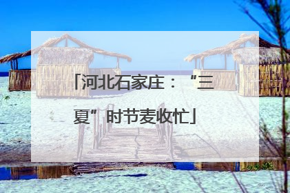 河北石家庄：“三夏”时节麦收忙