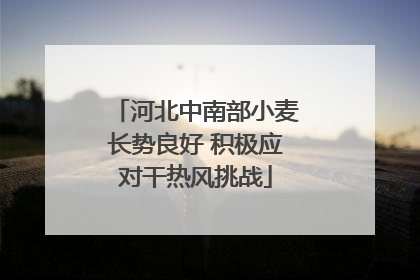 河北中南部小麦长势良好 积极应对干热风挑战