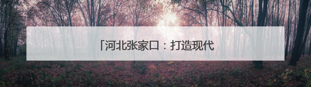 河北张家口：打造现代化集群式汽车产业基地