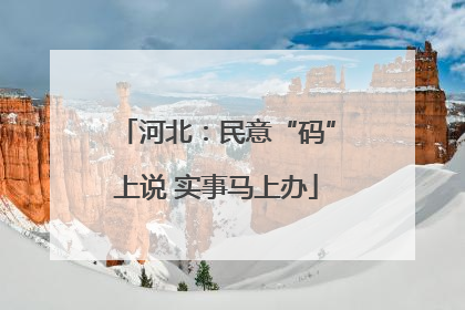 河北：民意“码”上说 实事马上办
