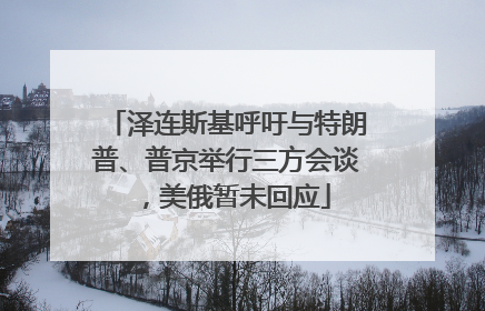 泽连斯基呼吁与特朗普、普京举行三方会谈，美俄暂未回应