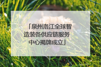泉州洛江全球智造装备供应链服务中心揭牌成立