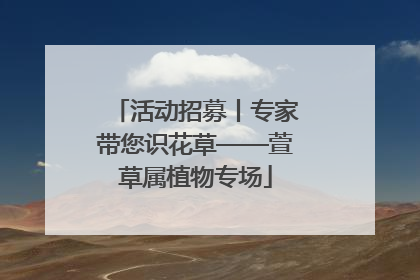 活动招募丨专家带您识花草——萱草属植物专场