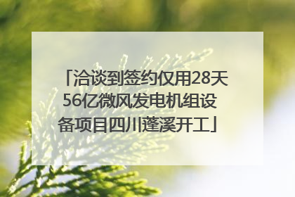洽谈到签约仅用28天 56亿微风发电机组设备项目四川蓬溪开工