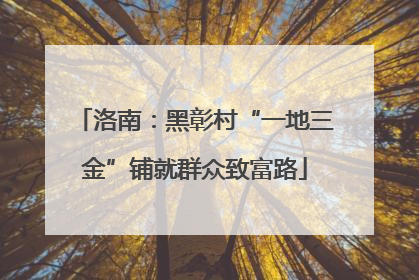 洛南：黑彰村“一地三金”铺就群众致富路