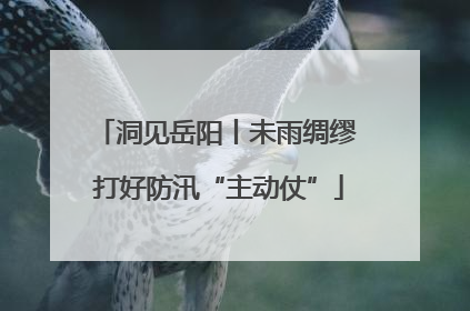 洞见岳阳丨未雨绸缪 打好防汛“主动仗”