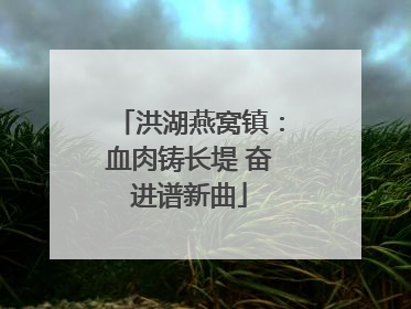 洪湖燕窝镇：血肉铸长堤 奋进谱新曲