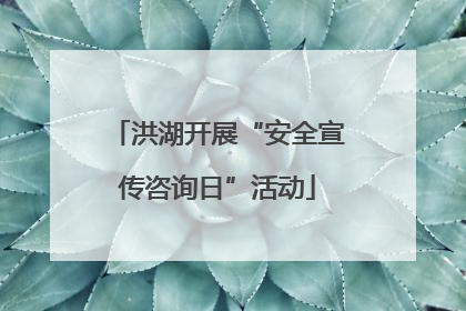 洪湖开展“安全宣传咨询日”活动