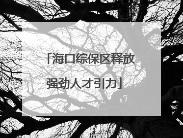 海口综保区释放强劲人才引力