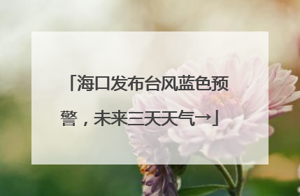海口发布台风蓝色预警，未来三天天气→