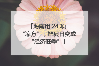 海南用 24 项 “凉方”，把夏日变成 “经济旺季”