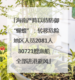 海南严阵以待防御“蝴蝶”：转移危险地区人员2081人 30721艘渔船全部进港避风
