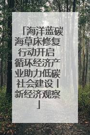 海洋蓝碳海草床修复行动开启 循环经济产业助力低碳社会建设丨新经济观察