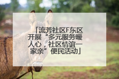 流芳社区F东区开展“多元服务暖人心，社区情谊一家亲”便民活动