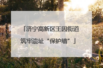 济宁高新区王因街道筑牢遗址“保护墙”