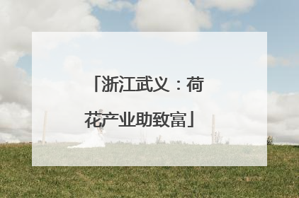 浙江武义：荷花产业助致富