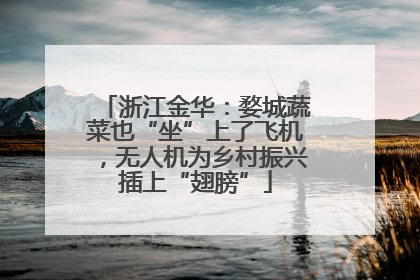 浙江金华：婺城蔬菜也“坐”上了飞机，无人机为乡村振兴插上“翅膀”