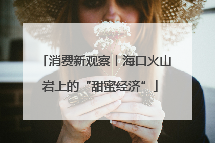 消费新观察丨海口火山岩上的“甜蜜经济”