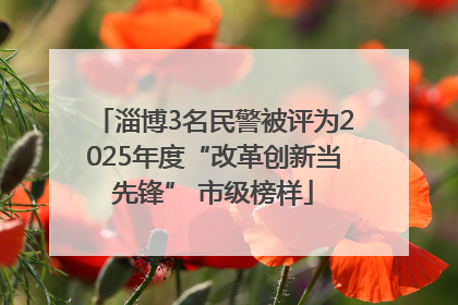 淄博3名民警被评为2025年度“改革创新当先锋” 市级榜样