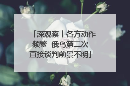 深观察丨各方动作频繁  俄乌第二次直接谈判前景不明