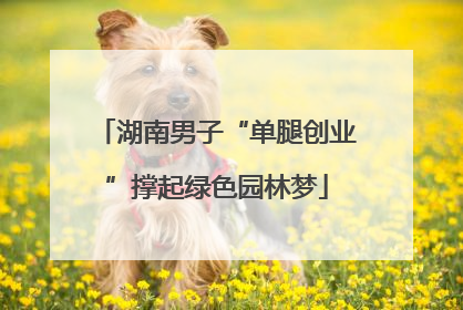 湖南男子“单腿创业”撑起绿色园林梦