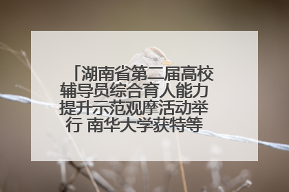 湖南省第二届高校辅导员综合育人能力提升示范观摩活动举行 南华大学获特等奖和一等奖