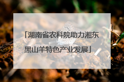 湖南省农科院助力湘东黑山羊特色产业发展