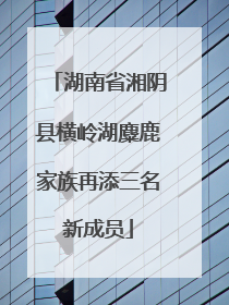 湖南省湘阴县横岭湖麋鹿家族再添三名新成员