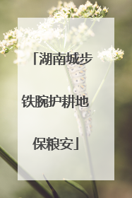 湖南城步铁腕护耕地保粮安