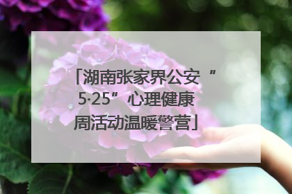 湖南张家界公安“5·25”心理健康周活动温暖警营