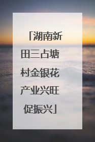 湖南新田三占塘村金银花产业兴旺促振兴