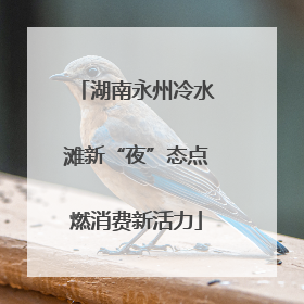 湖南永州冷水滩新“夜”态点燃消费新活力