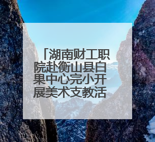 湖南财工职院赴衡山县白果中心完小开展美术支教活动