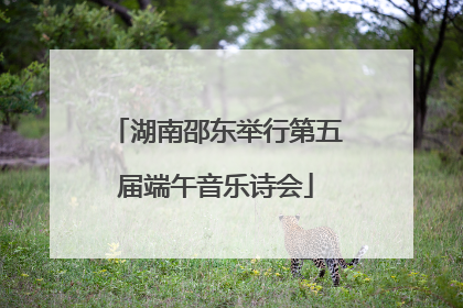 湖南邵东举行第五届端午音乐诗会
