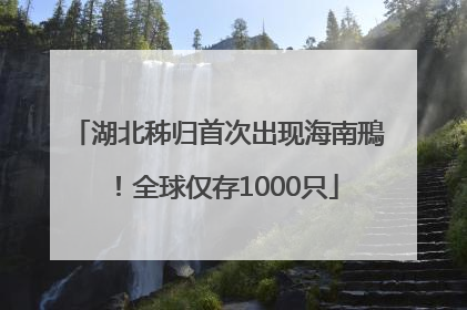 湖北秭归首次出现海南鳽！全球仅存1000只