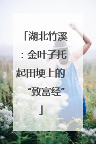 湖北竹溪：金叶子托起田埂上的“致富经”