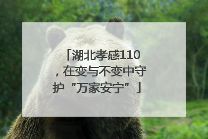 湖北孝感110，在变与不变中守护“万家安宁”