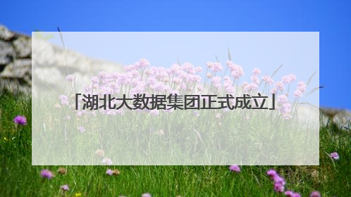 湖北大数据集团正式成立