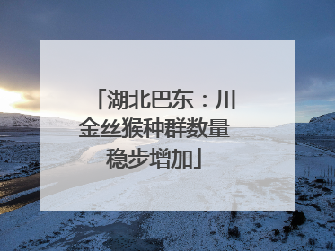 湖北巴东：川金丝猴种群数量稳步增加