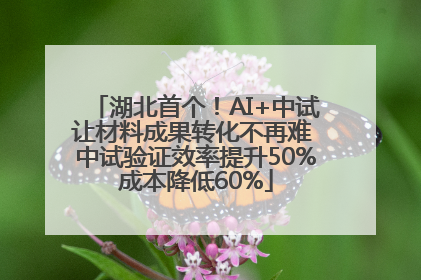 湖北首个！AI+中试让材料成果转化不再难 中试验证效率提升50%成本降低60%