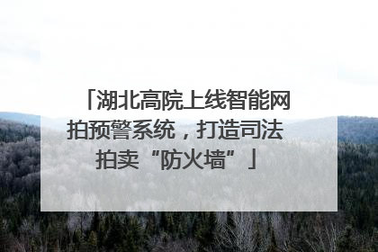 湖北高院上线智能网拍预警系统，打造司法拍卖“防火墙”