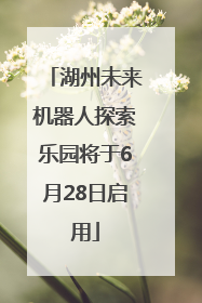 湖州未来机器人探索乐园将于6月28日启用