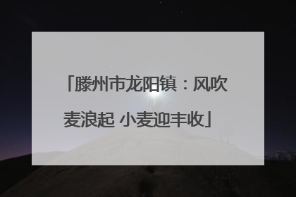 滕州市龙阳镇：风吹麦浪起 小麦迎丰收