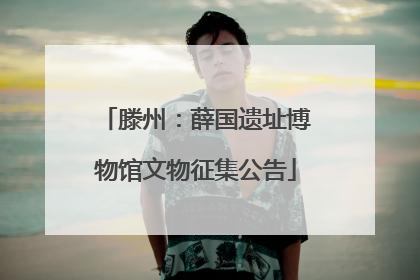 滕州：薛国遗址博物馆文物征集公告