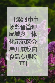 漯河市市场监督管理局城乡一体化示范区分局开展校园食品专项检查