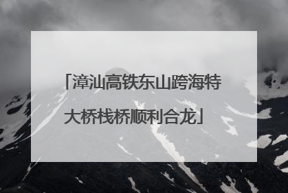 漳汕高铁东山跨海特大桥栈桥顺利合龙