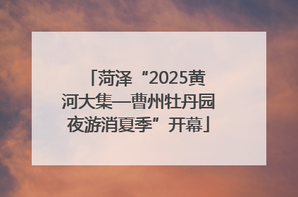 菏泽“2025黄河大集—曹州牡丹园夜游消夏季”开幕