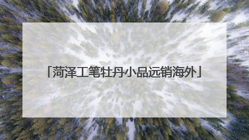 菏泽工笔牡丹小品远销海外